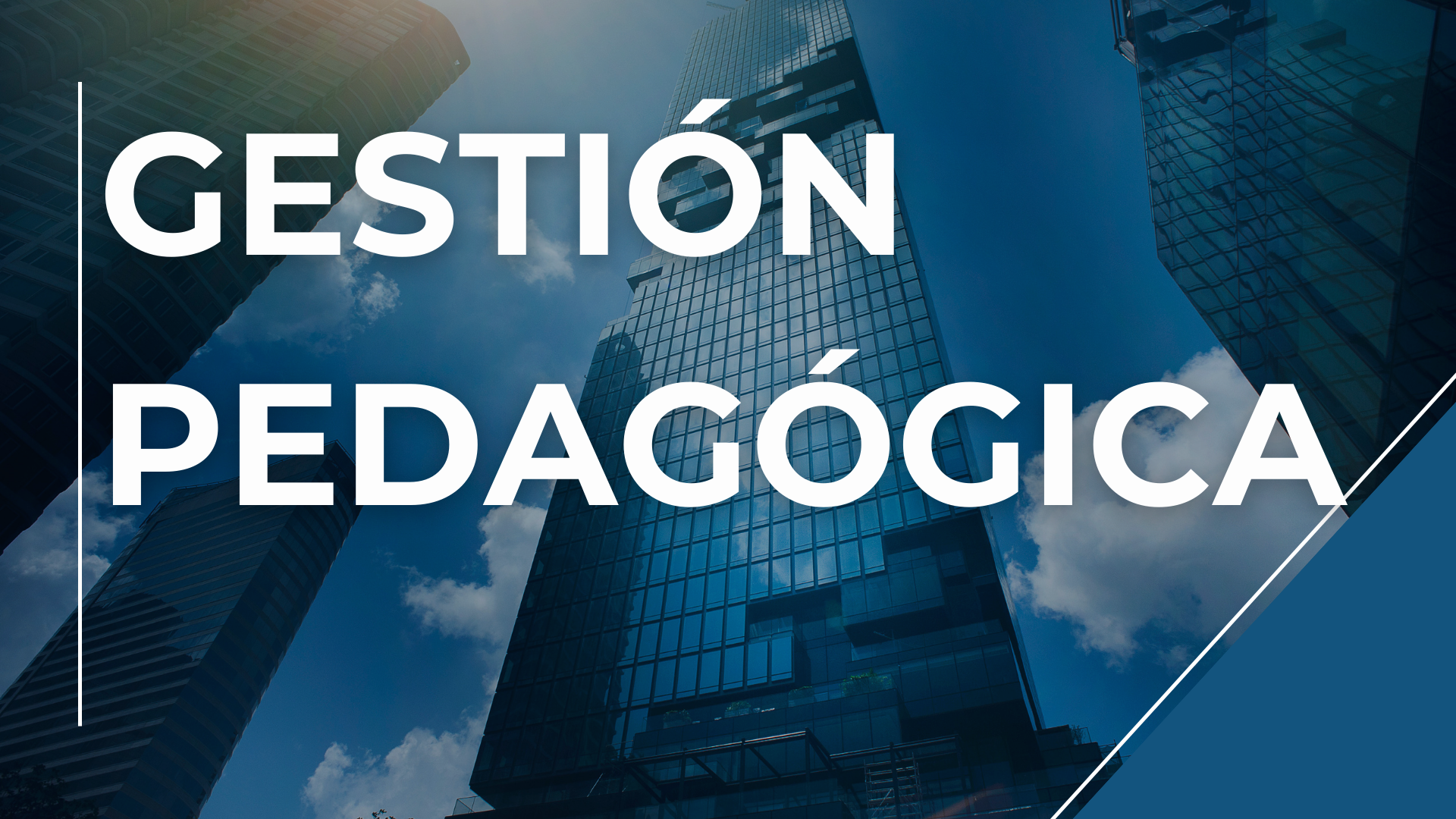 GESTION PEDAGOGICA